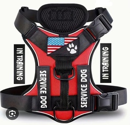 ARNES SERVICE DOG POLIESTER COLORES VARIOS CON ABROJO INTERCAMBIABLE TALLE XS 25-5122
